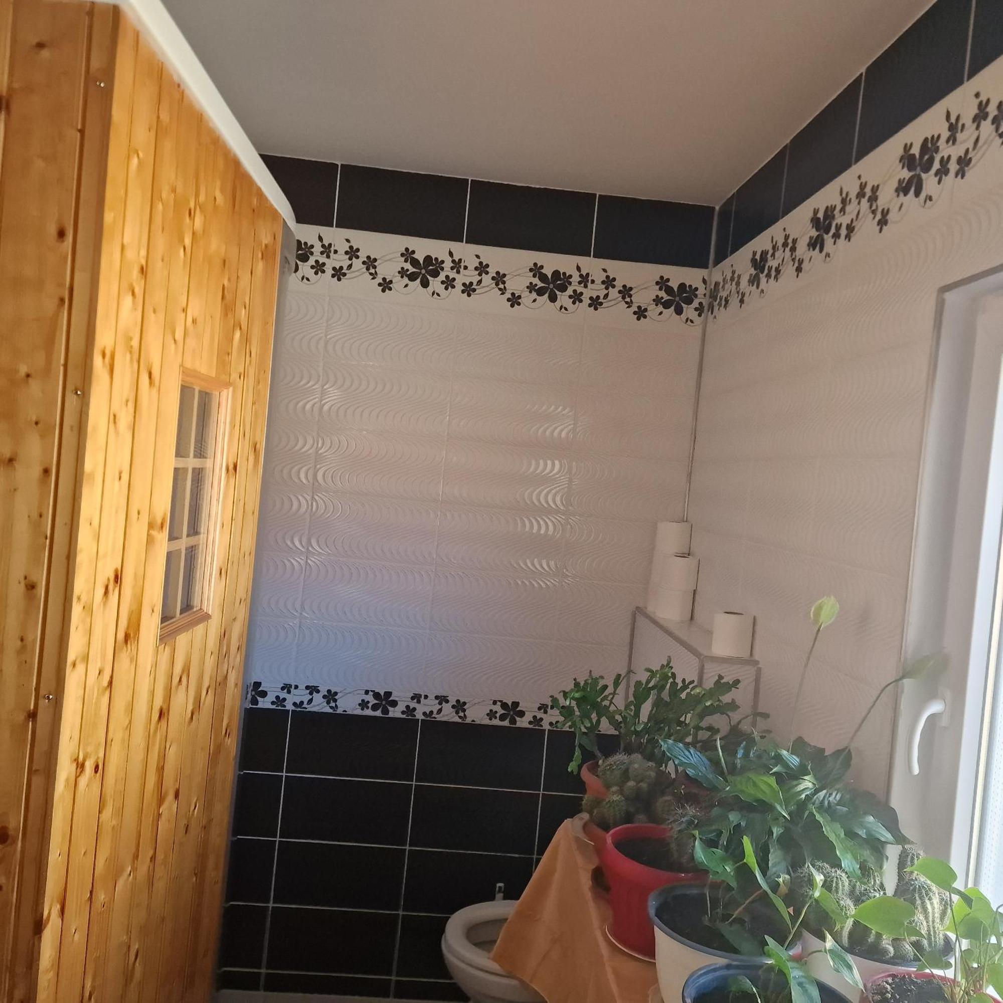 Casa Cojanu Hotel Petroşani Eksteriør billede