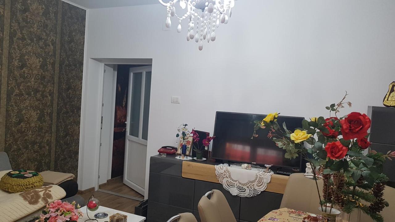 Casa Cojanu Hotel Petroşani Eksteriør billede