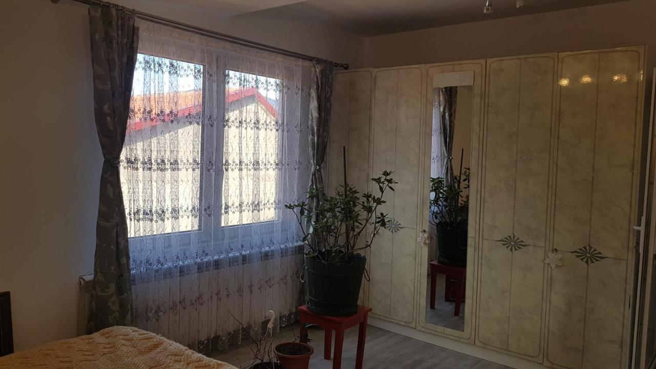 Casa Cojanu Hotel Petroşani Eksteriør billede