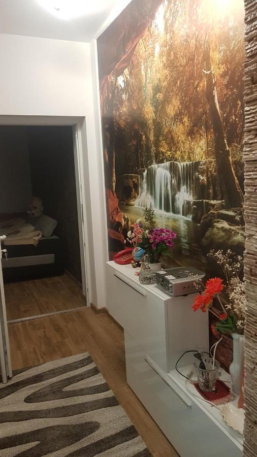 Casa Cojanu Hotel Petroşani Eksteriør billede